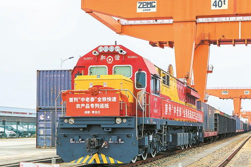 首列中老泰全鐵快速農產品專列抵蓉，國際物流新動脈全面打通